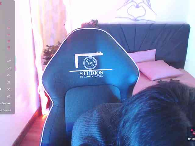 Palmerfox-tay webcam