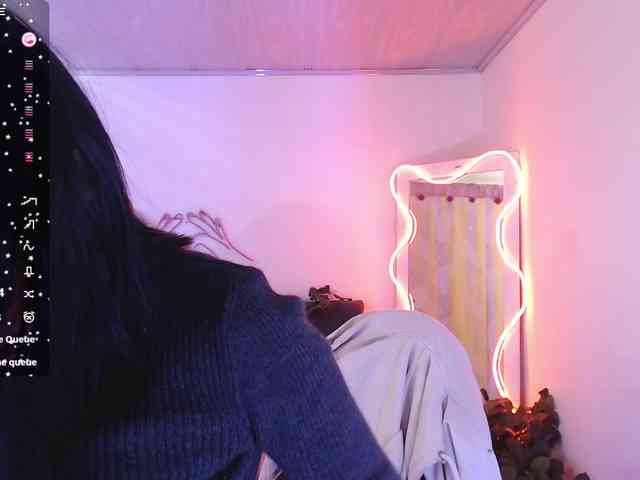 Palmerfox-tay webcam