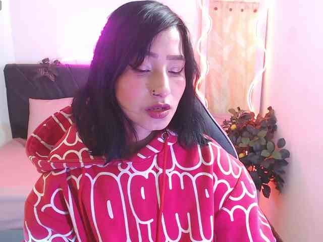 Palmerfox-tay webcam