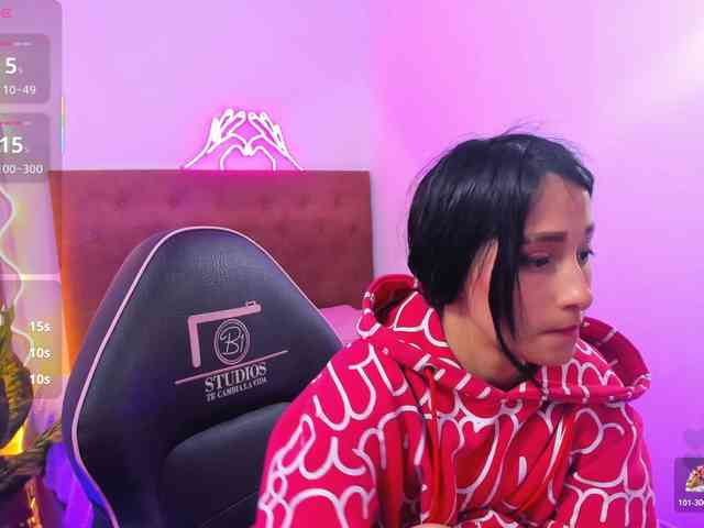 Palmerfox-tay webcam