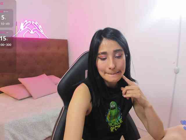 Palmerfox-tay webcam