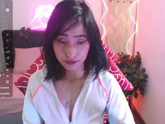 Palmerfox-tay webcam