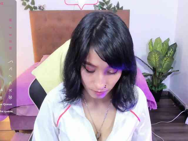 Palmerfox-tay webcam