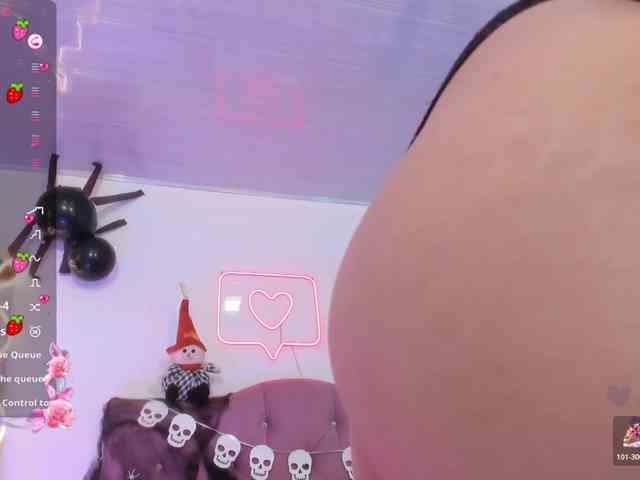Palmerfox-tay webcam