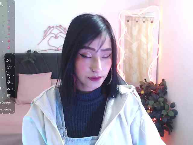 Palmerfox-tay webcam