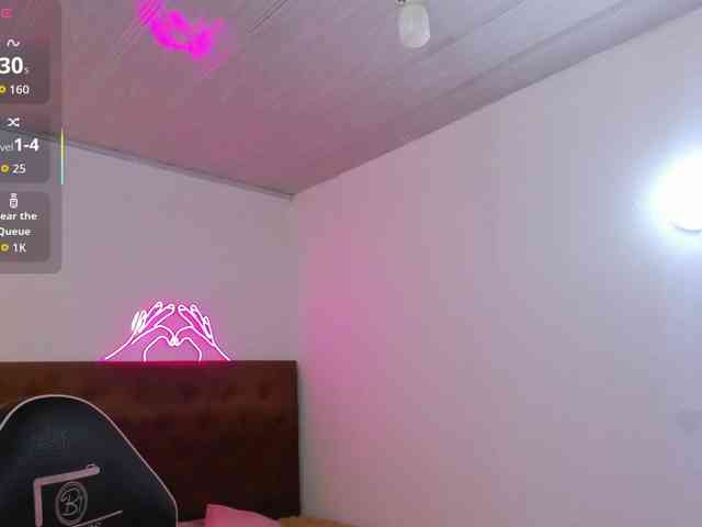 Palmerfox-tay webcam