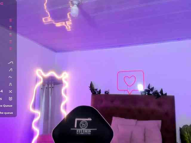 Palmerfox-tay webcam