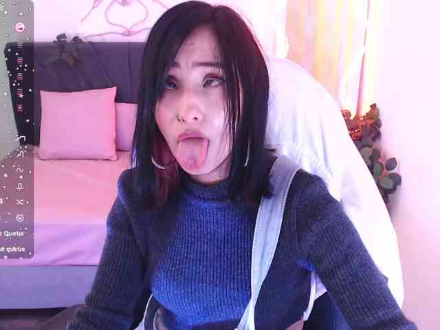Palmerfox-tay webcam