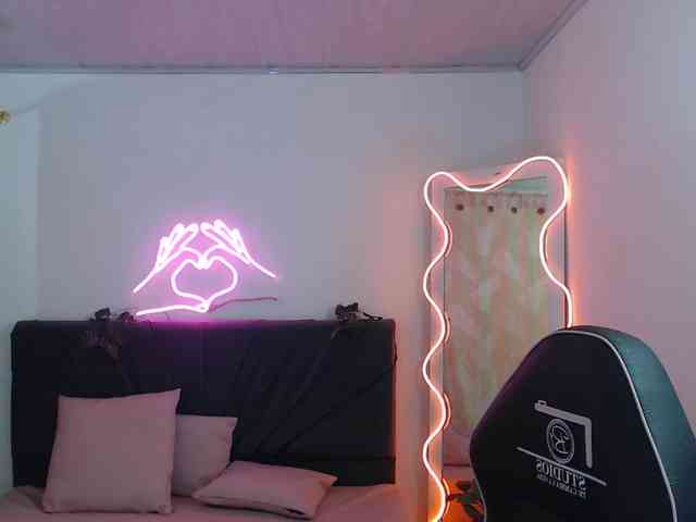 Palmerfox-tay webcam