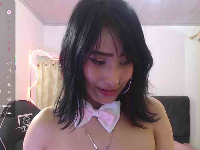 Palmerfox-tay webcam