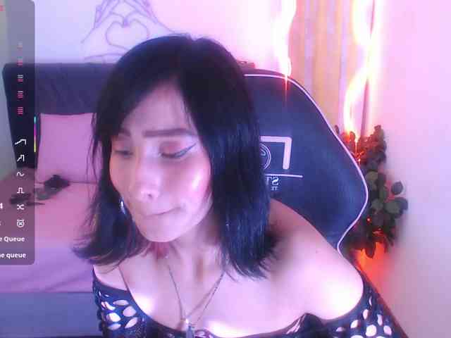 Palmerfox-tay webcam