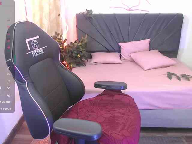Palmerfox-tay webcam