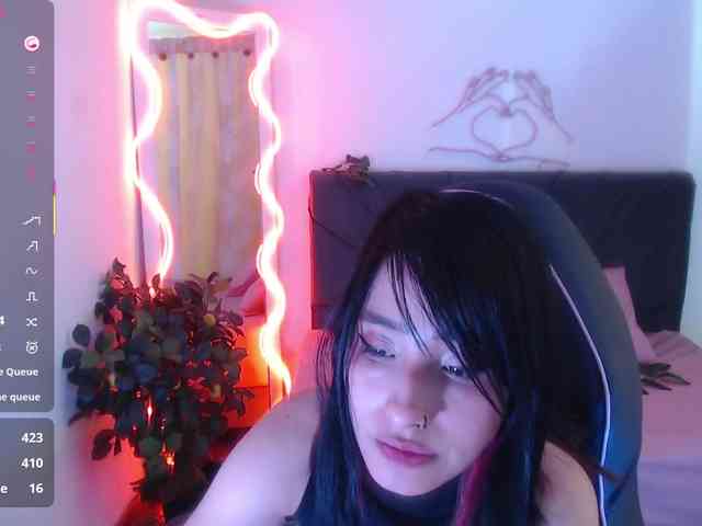 Palmerfox-tay webcam