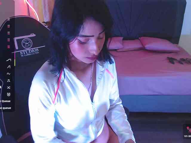 Palmerfox-tay webcam
