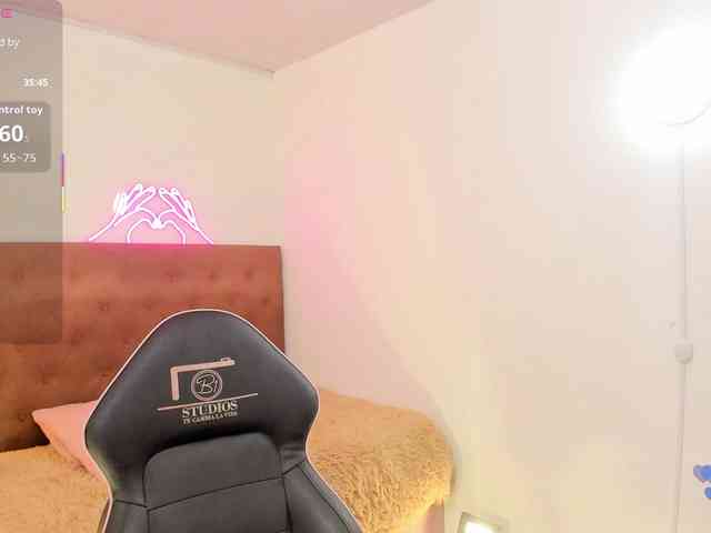 Palmerfox-tay webcam