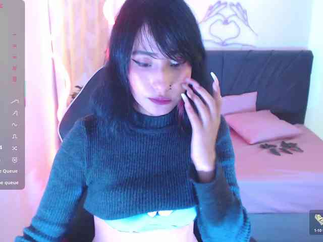 Palmerfox-tay webcam