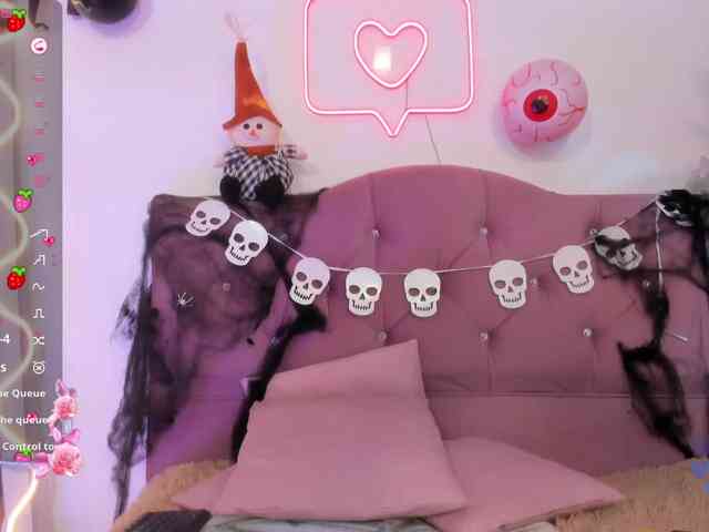 Palmerfox-tay webcam