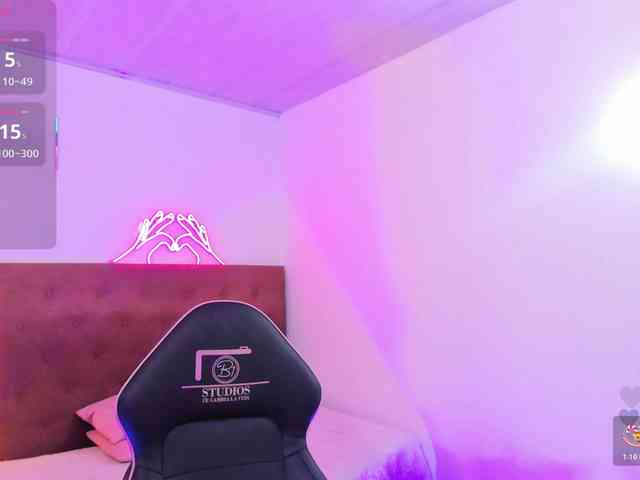 Palmerfox-tay webcam