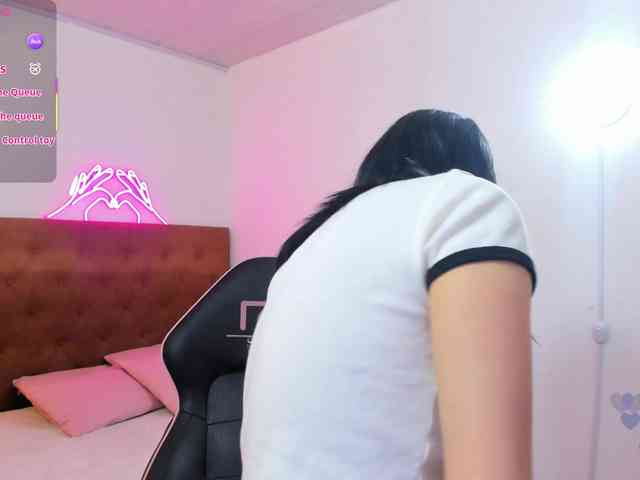 Palmerfox-tay webcam