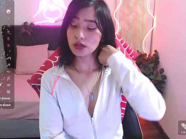 Palmerfox-tay webcam