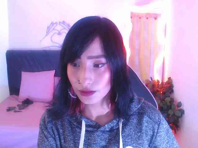 Palmerfox-tay webcam