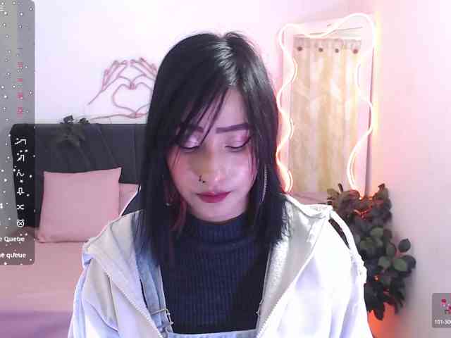 Palmerfox-tay webcam