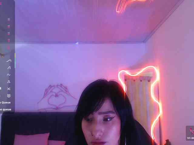 Palmerfox-tay webcam