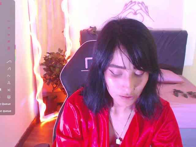 Palmerfox-tay webcam