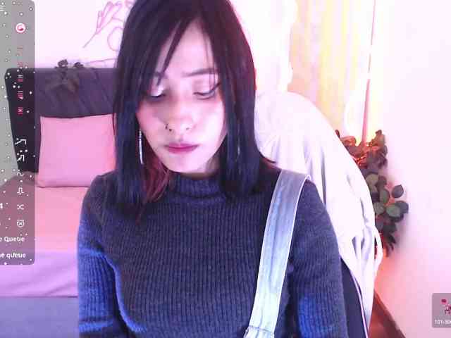 Palmerfox-tay webcam