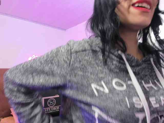 Palmerfox-tay webcam