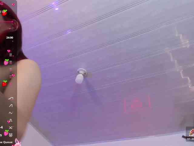 Palmerfox-tay webcam