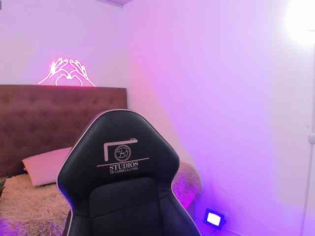 Palmerfox-tay webcam