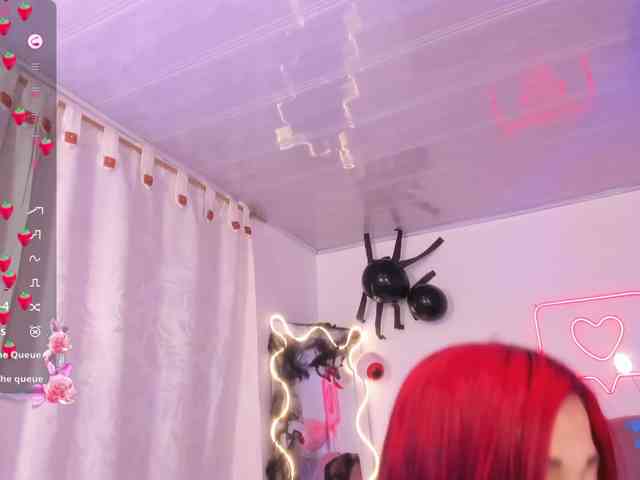 Palmerfox-tay webcam
