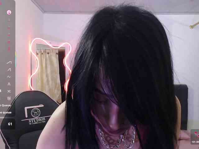 Palmerfox-tay webcam