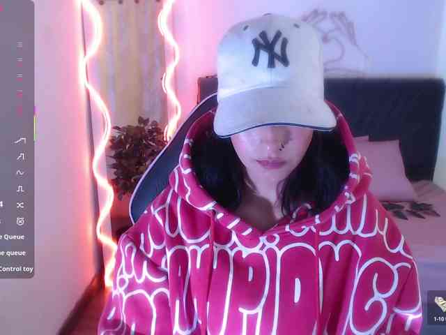 Palmerfox-tay webcam
