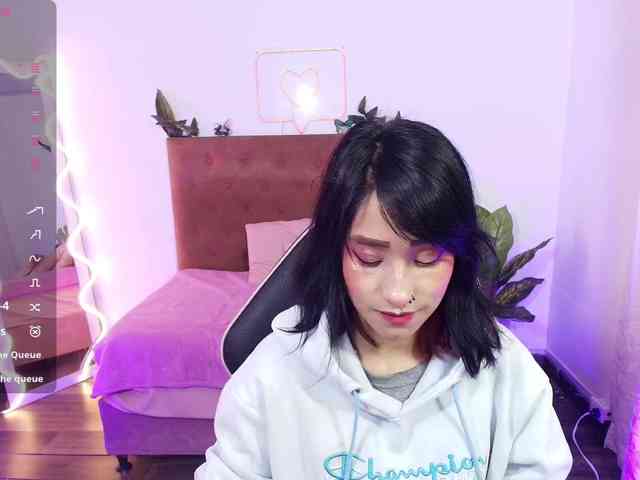 Palmerfox-tay webcam