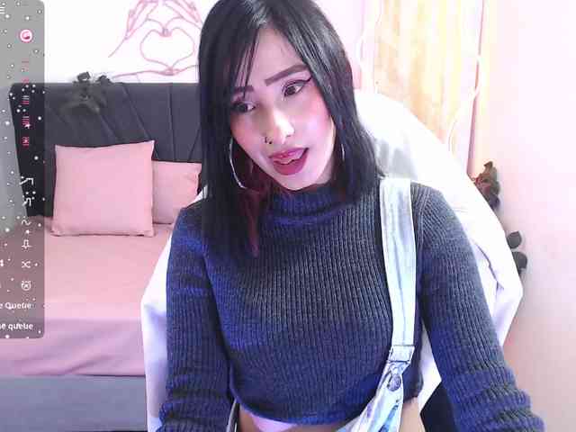 Palmerfox-tay webcam
