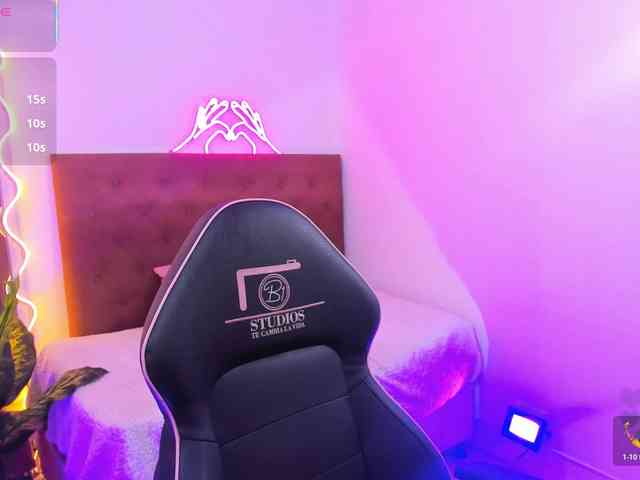 Palmerfox-tay webcam