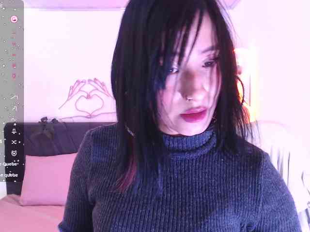 Palmerfox-tay webcam