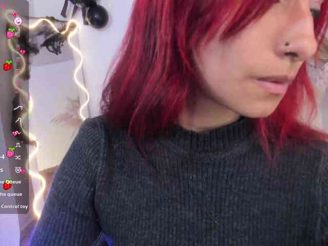 Palmerfox-tay webcam