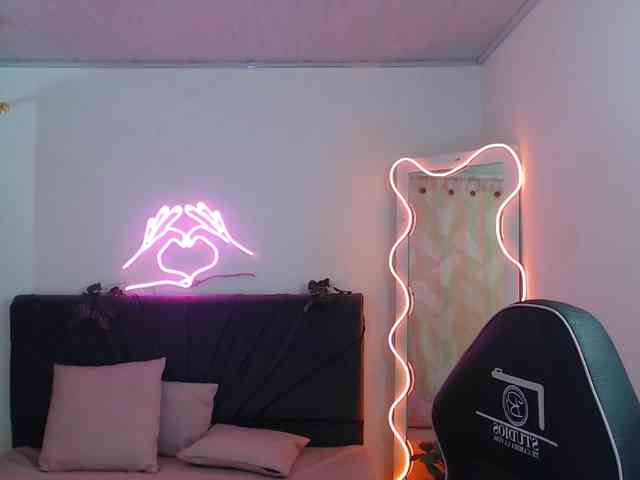 Palmerfox-tay webcam