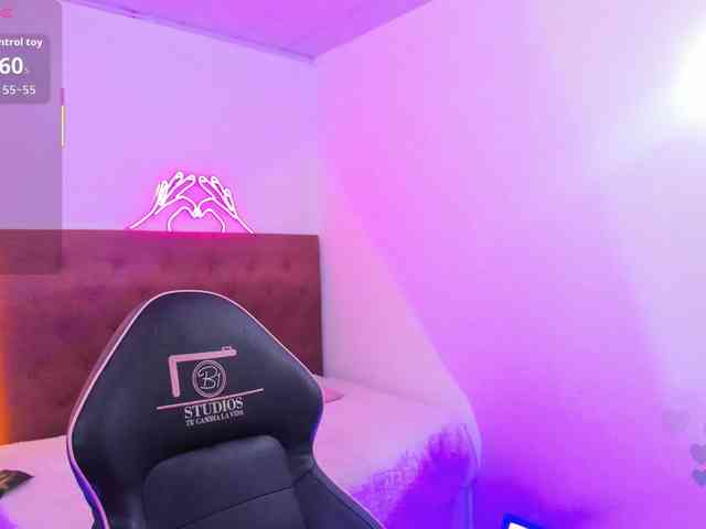 Palmerfox-tay webcam