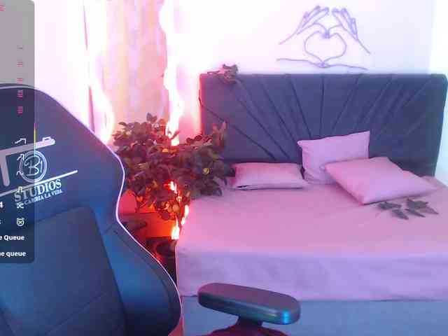 Palmerfox-tay webcam