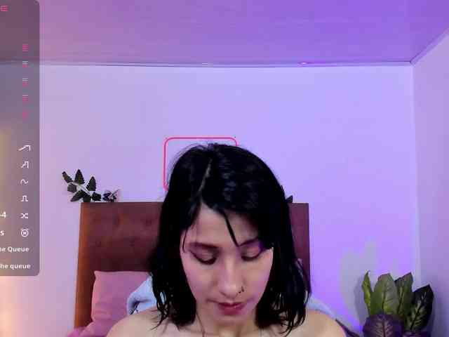Palmerfox-tay webcam