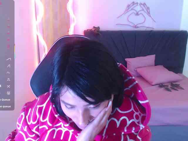 Palmerfox-tay webcam