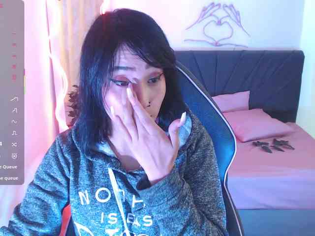 Palmerfox-tay webcam