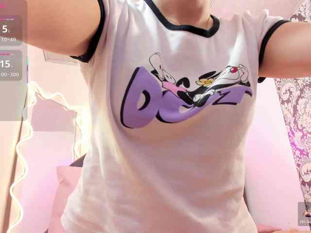 Palmerfox-tay webcam