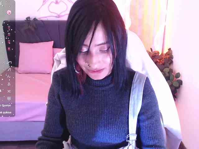 Palmerfox-tay webcam