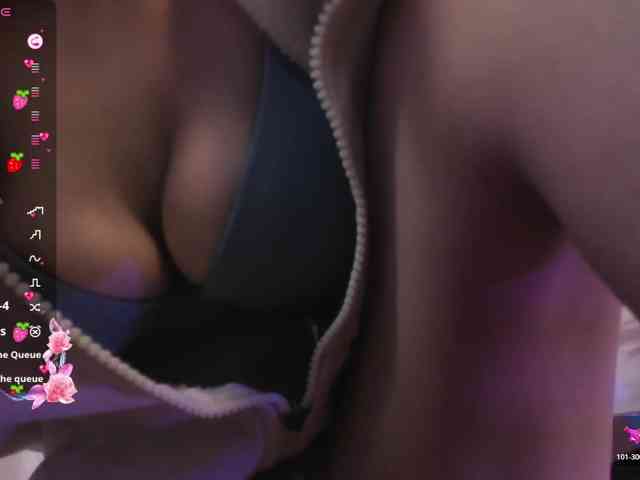 Palmerfox-tay webcam