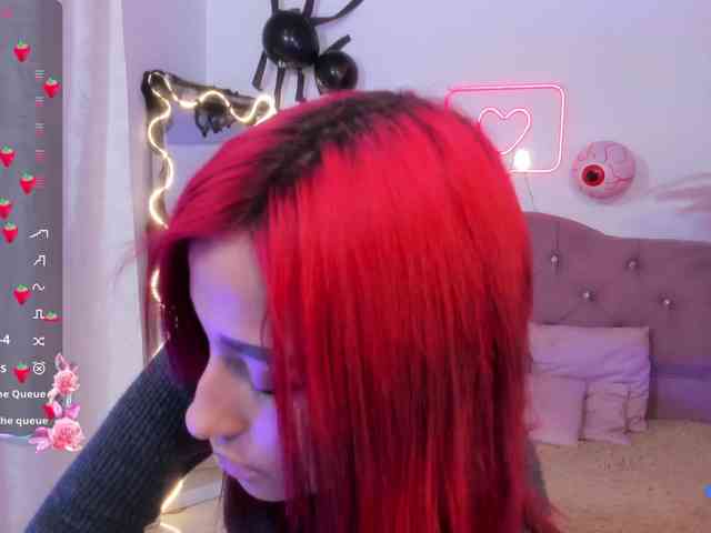 Palmerfox-tay webcam